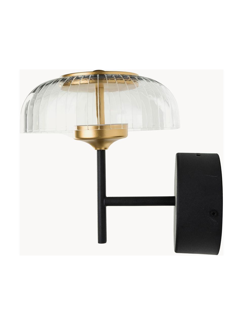 Nástěnné LED svítidlo Vitrum, Transparentní, zlatá, černá, Š 20 cm, H 25 cm