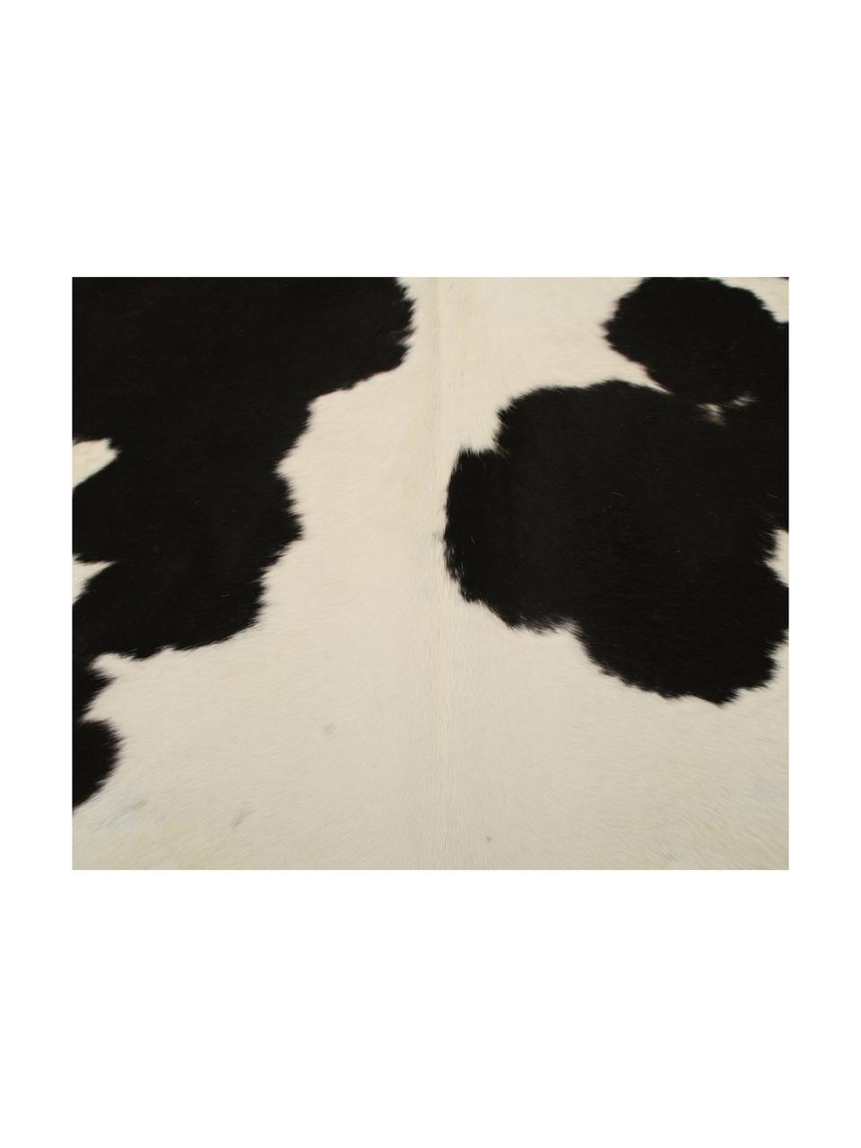 Koberec z hovädzej kože Otto, Hovädzia koža, Čierna, biela, Hovädzia koža Unikat 974, 160 x 180 cm