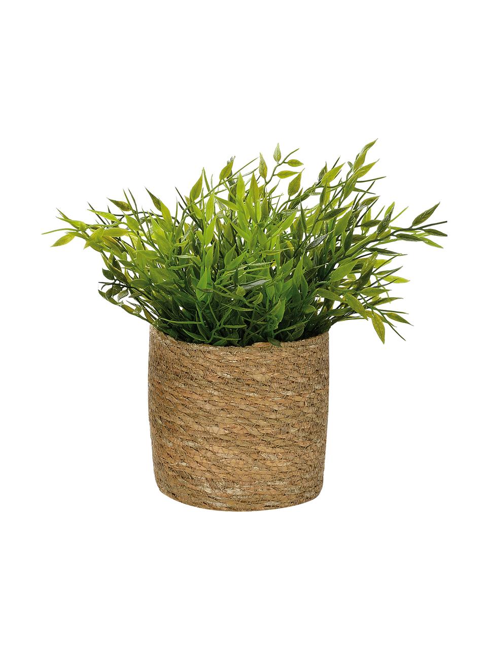 Cache-pot en jute Julka, 3 élém., Jute, Beige, Lot de différentes tailles