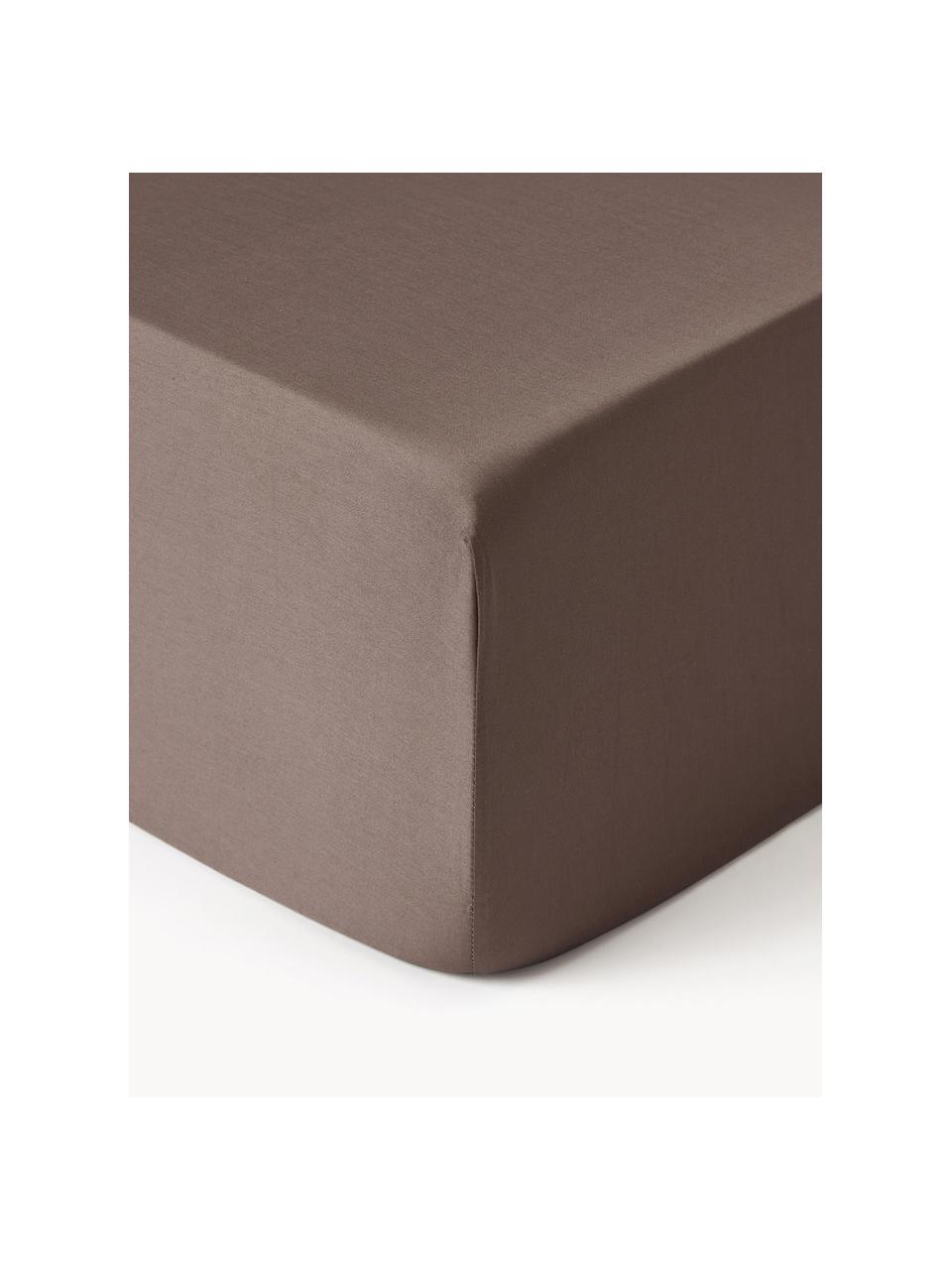 Lenzuolo con angoli boxspring in raso di cotone Comfort, Marrone scuro, Larg. 90 x Lung. 200 cm, Alt. 35 cm