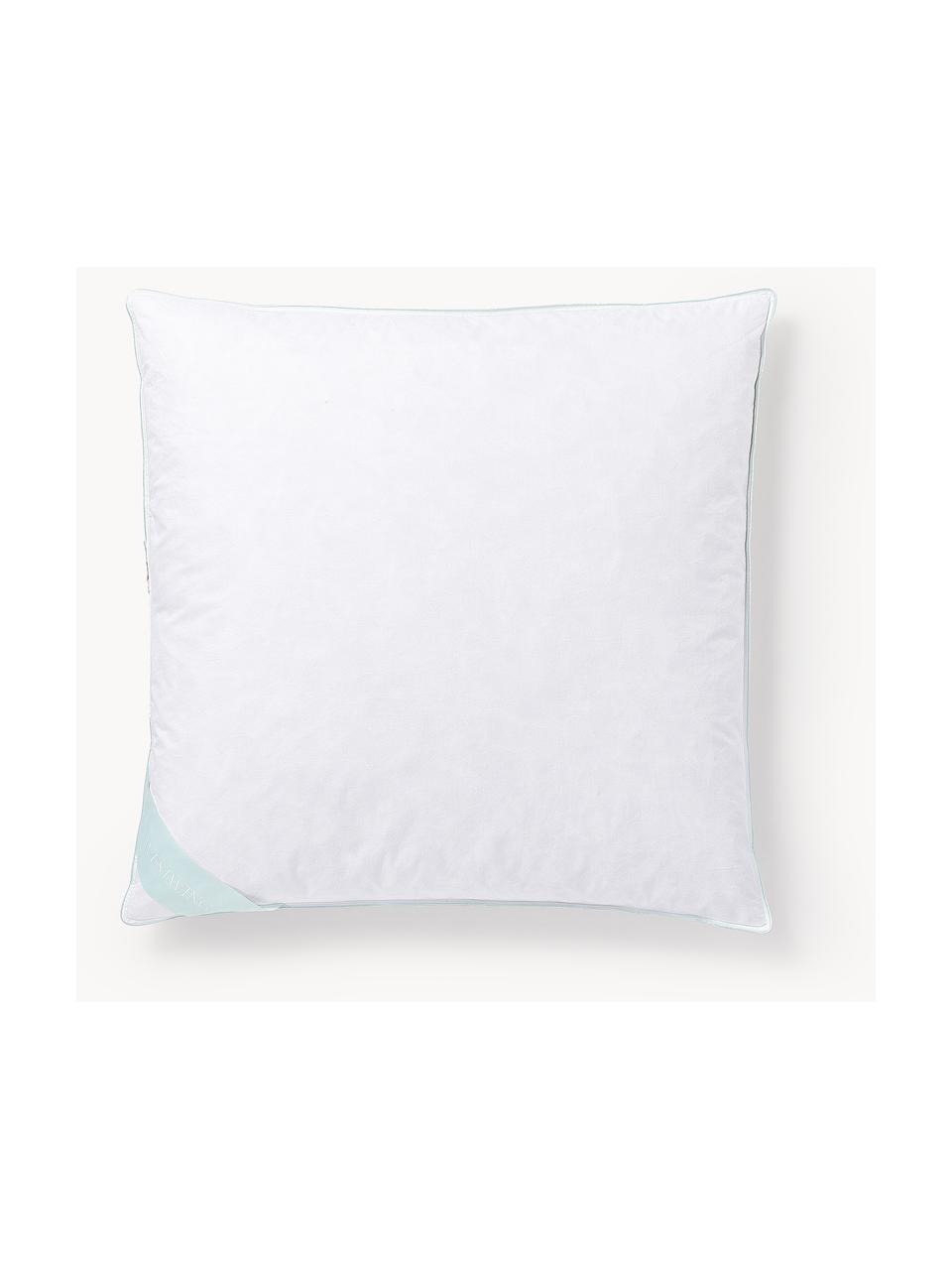 Cuscino duro Comfort, Bianco con fascia di stoffa in raso turchese, Larg. 80 x Lung. 80 cm