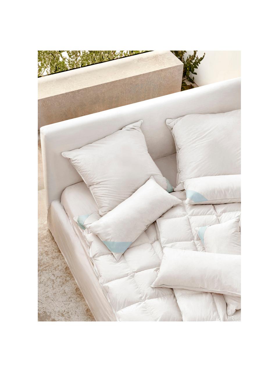Cuscino duro Comfort, Bianco con fascia di stoffa in raso turchese, Larg. 80 x Lung. 80 cm