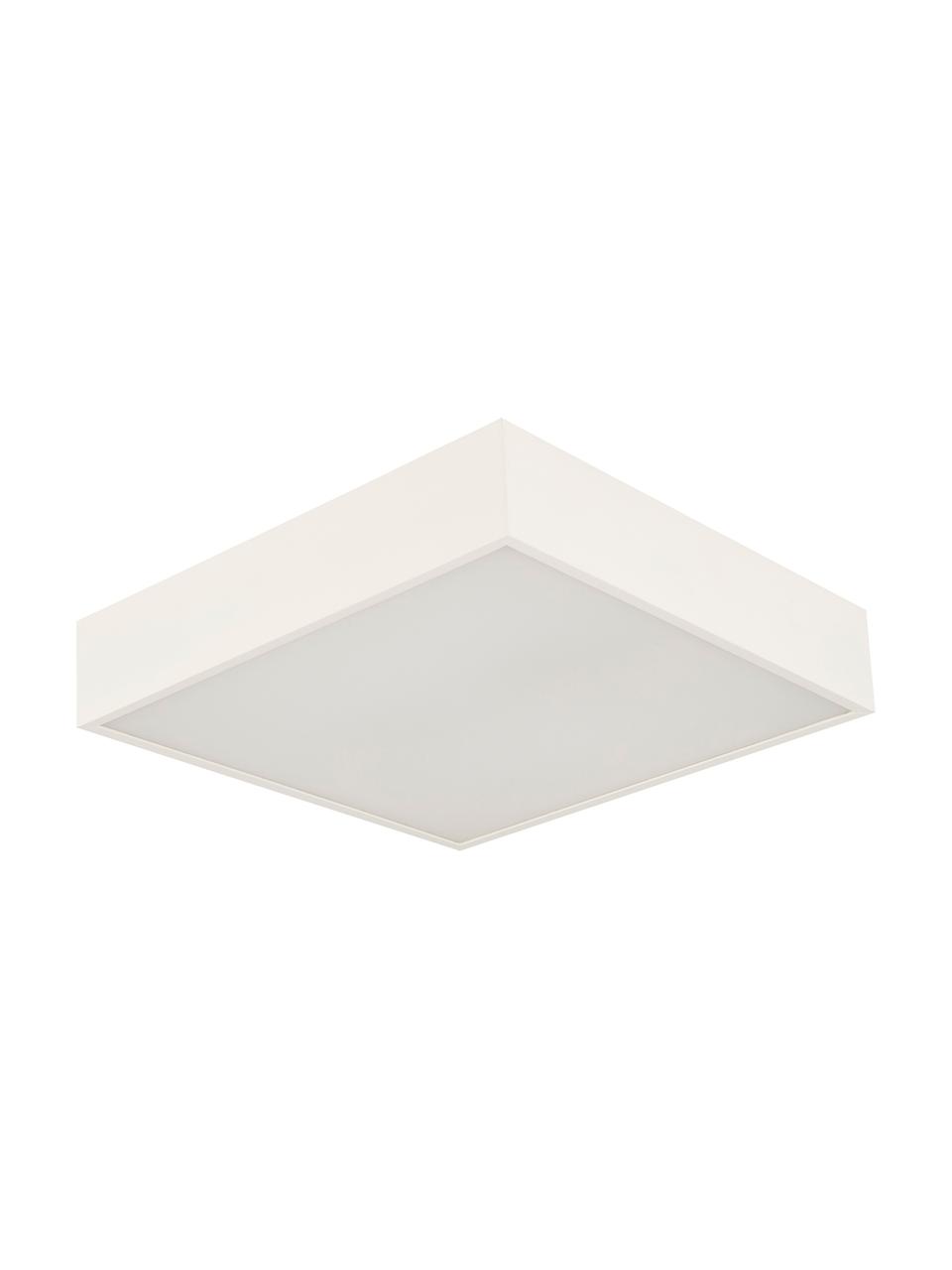 Kleine LED-plafondlamp Zeus in wit, Diffuser: kunststof, Gebroken wit, B 30 x H 6 cm