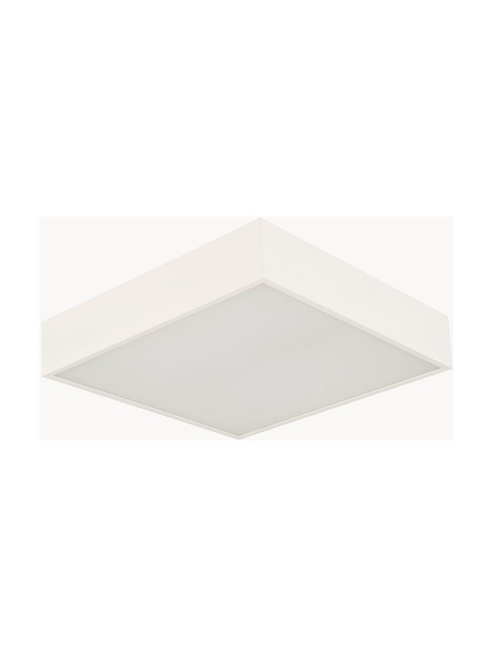 Kleine LED badkamer plafondlamp Zeus, Diffuser: kunststof, Gebroken wit, B 30 x H 6 cm