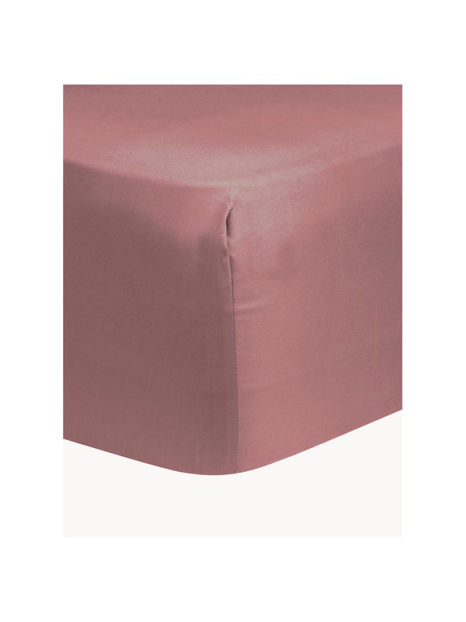 Lenzuolo con angoli in raso di cotone Comfort, Rosso vino, Larg. 140 x Lung. 200 cm