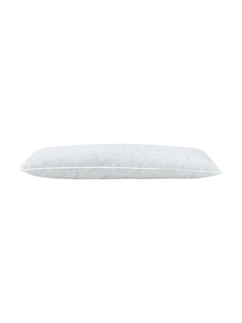 Imbottitura cuscino in poliestere Egret, 35x110, Rivestimento: fibra sintetica, Bianco, Larg. 35 x Lung. 110 cm