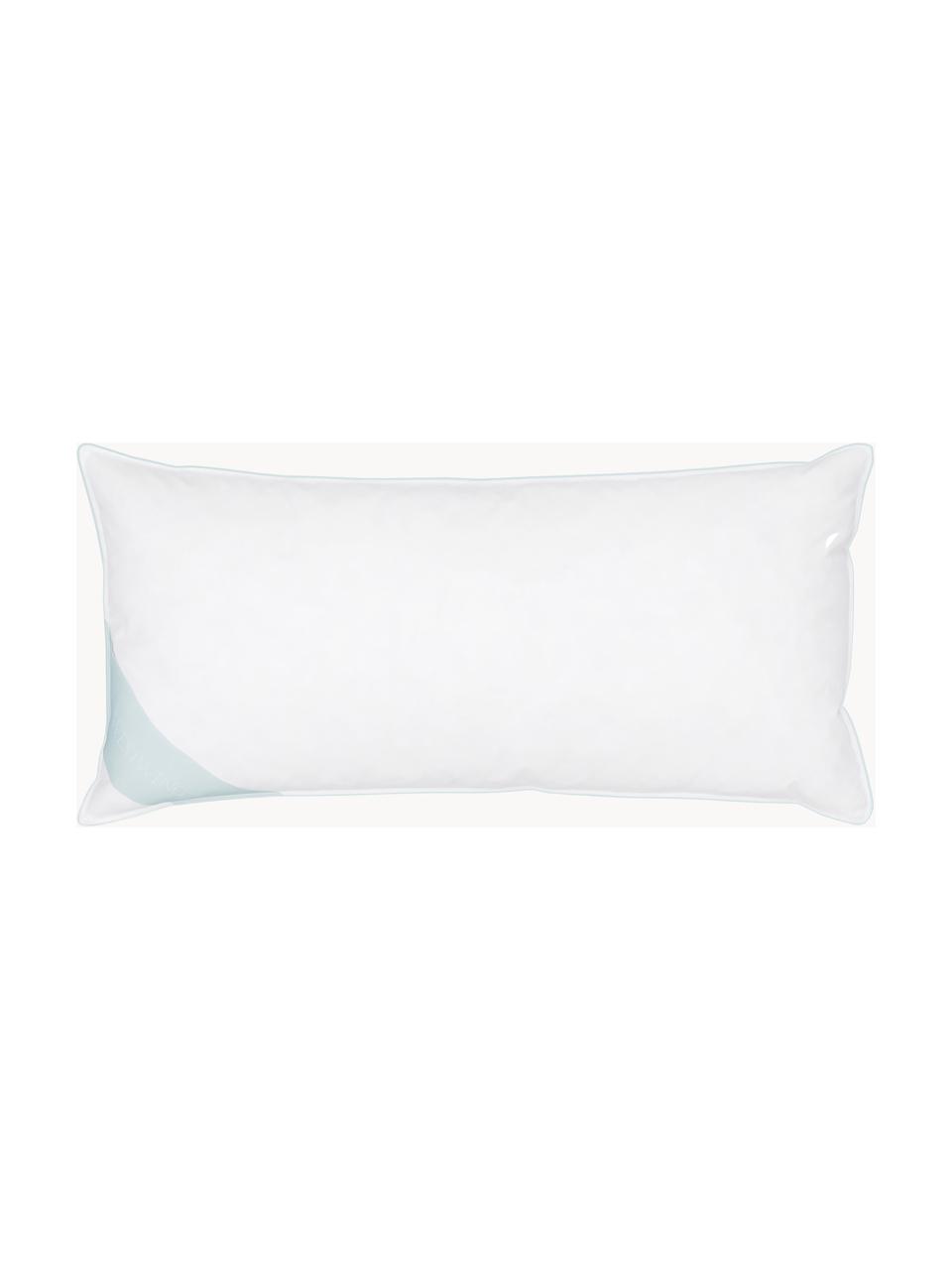 Almohada 3 cámaras Premium, firmeza media, Exterior: plumas blancas nuevas (90, Interior: plumas nuevas blancas, cl, Funda: 100% algodón Mako, Medio, An 40 x L 80 cm