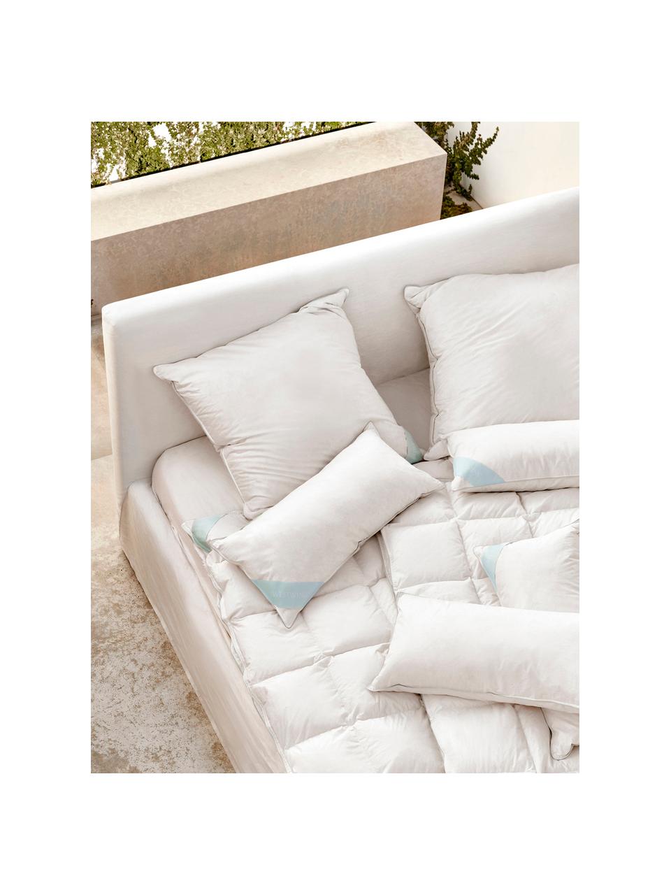 Almohada 3 cámaras Premium, firmeza media, Exterior: plumas blancas nuevas (90, Interior: plumas nuevas blancas, cl, Funda: 100% algodón Mako, Medio, An 40 x L 80 cm