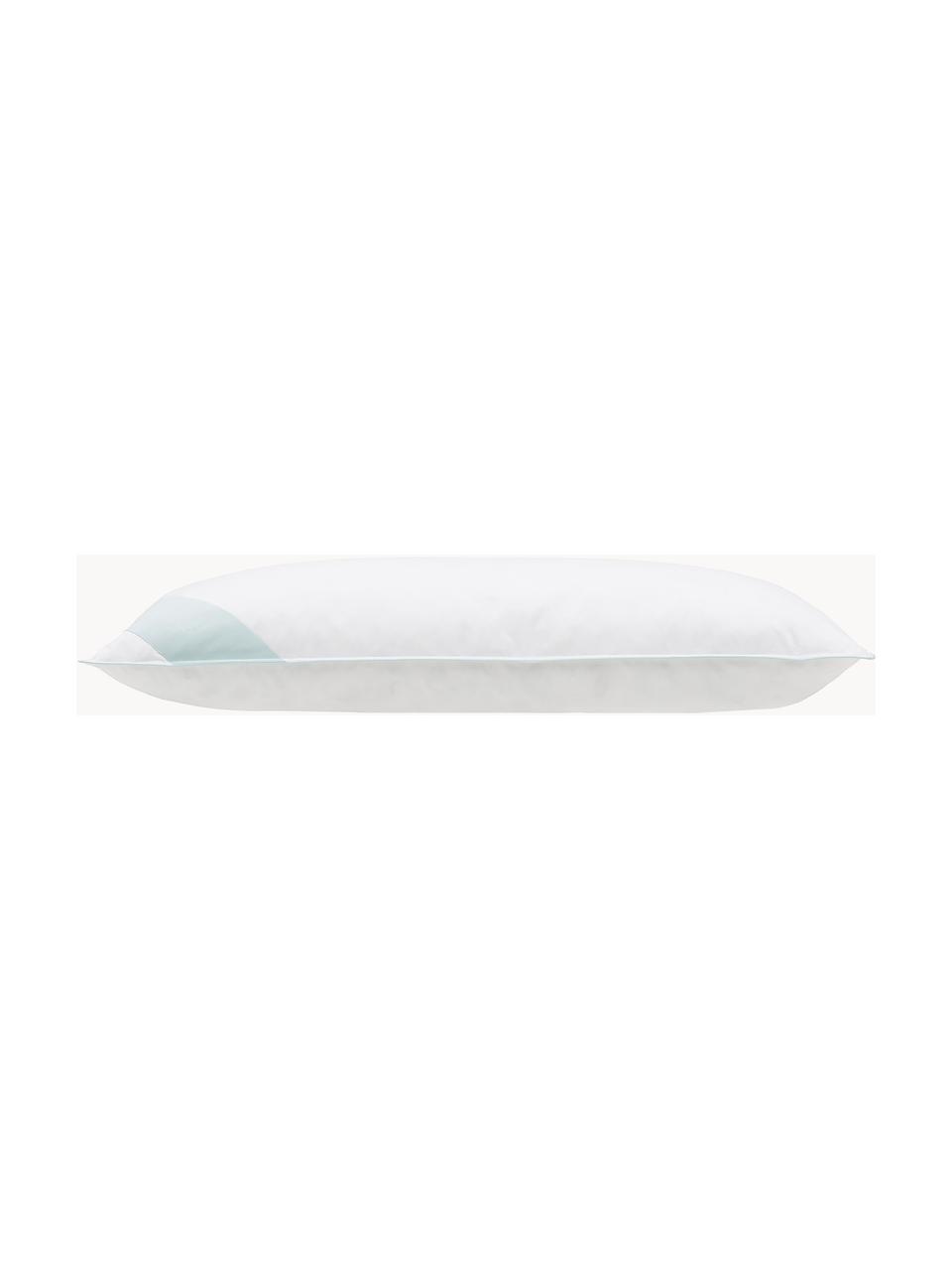 Almohada 3 cámaras Premium, firmeza media, Exterior: plumas blancas nuevas (90, Interior: plumas nuevas blancas, cl, Funda: 100% algodón Mako, Medio, An 40 x L 80 cm