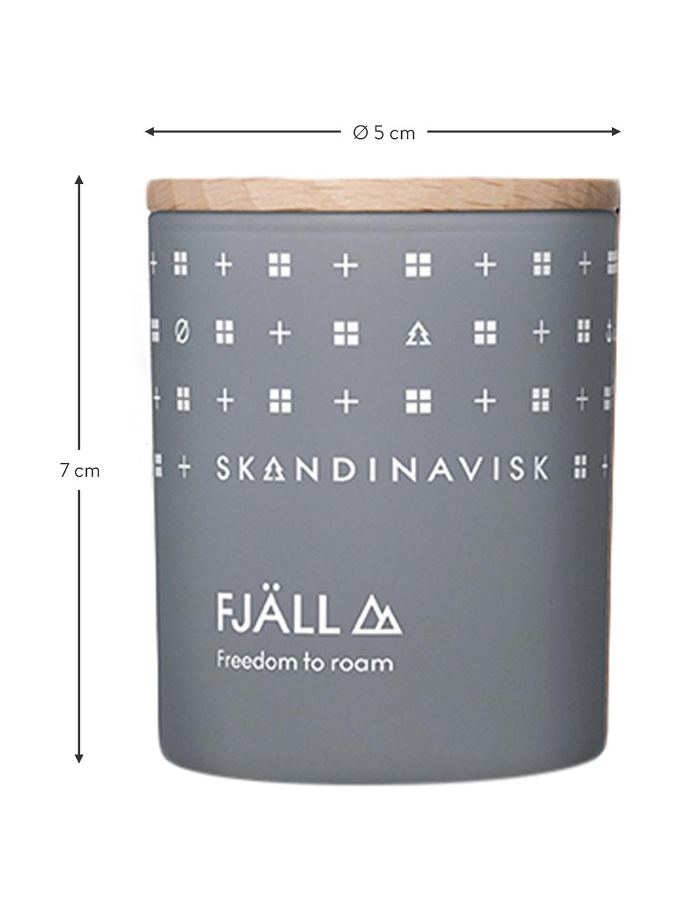 Velas perfumadas Explore, 3 uds., Recipiente: vidrio, Caja: cartón, Fragancias diferentes, Cada uno Ø 5 x Al 7 cm