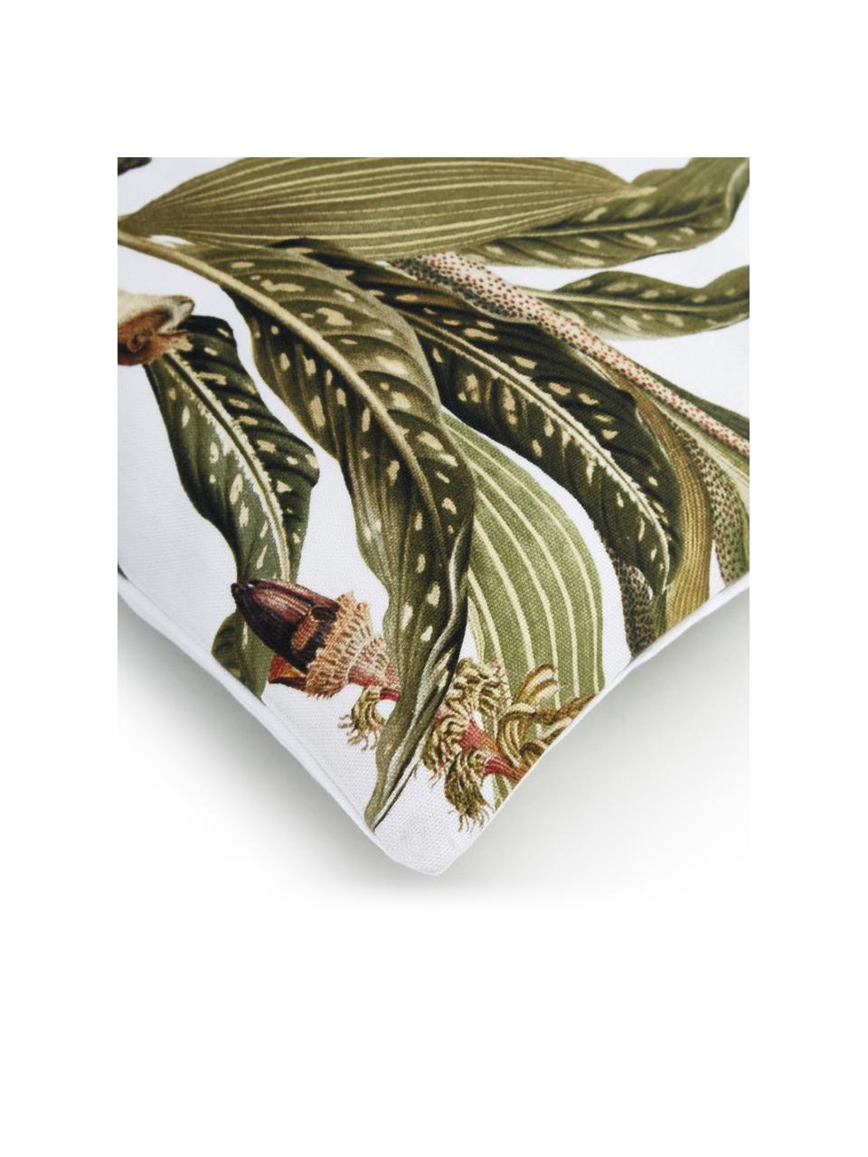 Copricuscino con stampa tropicale Monkey, 100% cotone, Verde, Larg. 45 x Lung. 45 cm