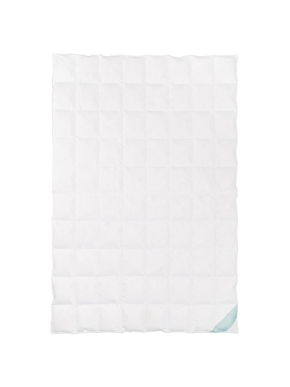 Kołdra puchowa Comfort, bardzo lekka, Bardzo lekka, S 200 x D 200 cm