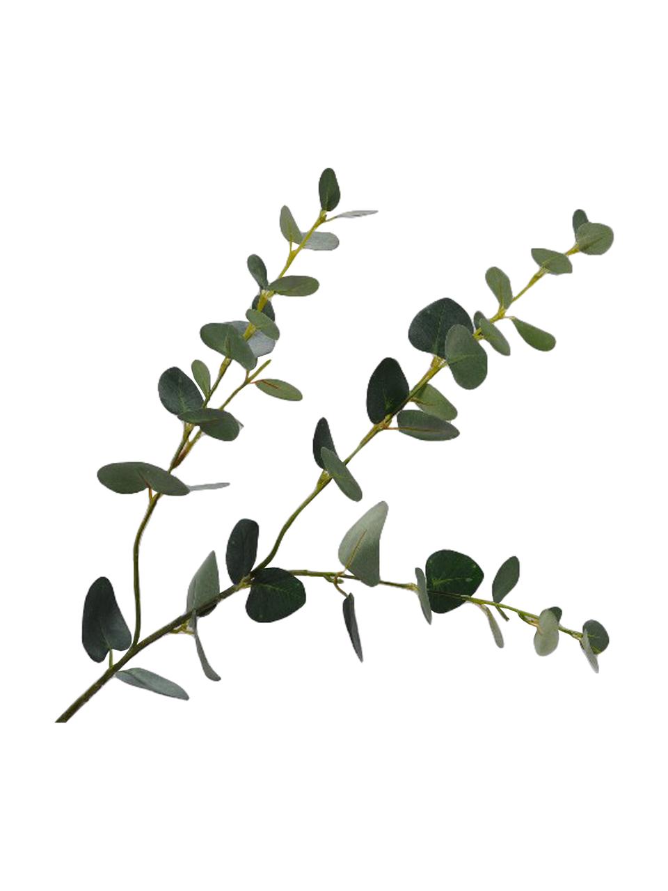 Dekoracyjna gałązka eukaliptusa, Tworzywo sztuczne, Zielony, W 79 cm
