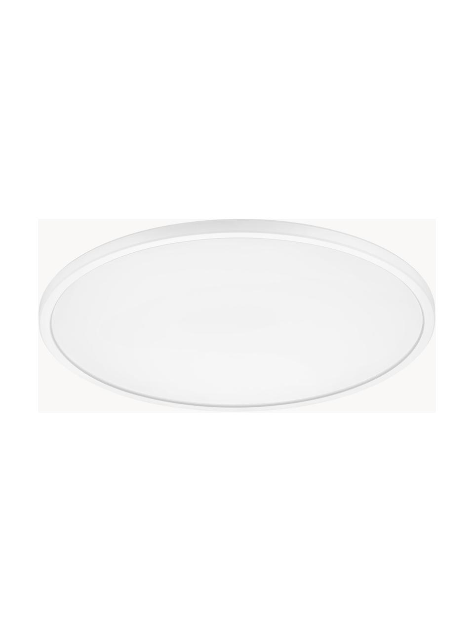 Plafón pequeño LED regulable Oja, Plástico, Blanco, Ø 42 x Al 2 cm