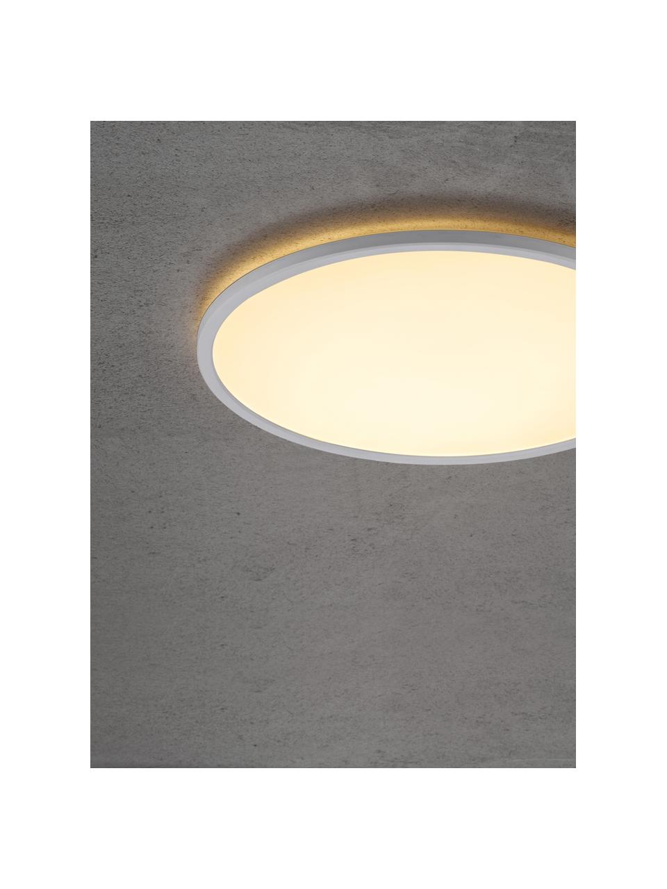 Petit plafonnier LED à intensité lumineuse variable Oja, Plastique, Blanc, Ø 42 x haut. 2 cm