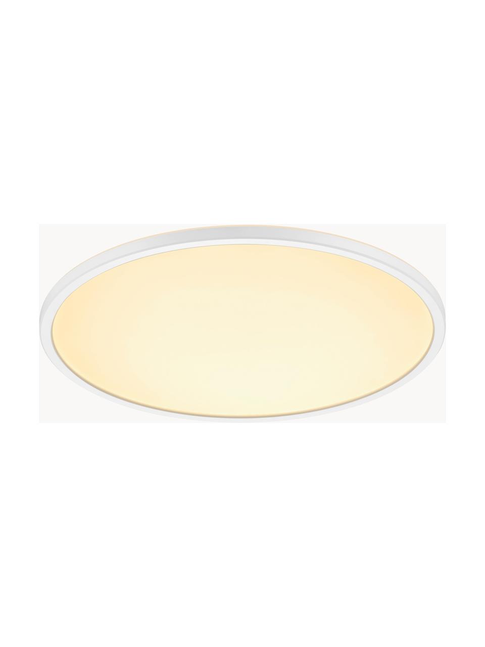 Petit plafonnier LED à intensité lumineuse variable Oja, Plastique, Blanc, Ø 42 x haut. 2 cm