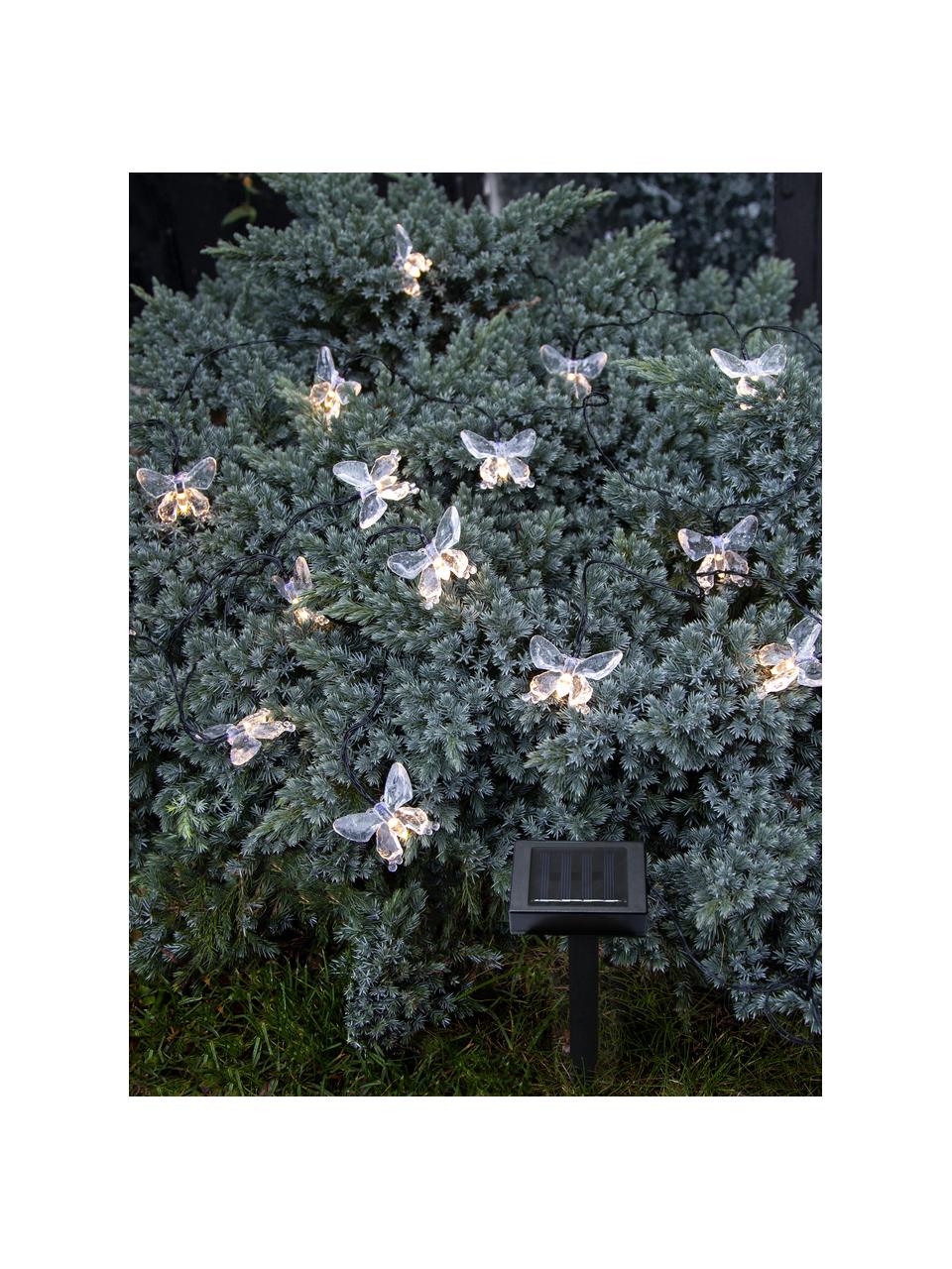 Guirnalda solar de luces Papillon, 280 cm, 15 luces, Cable: plástico, Negro, transparente, L 280 cm