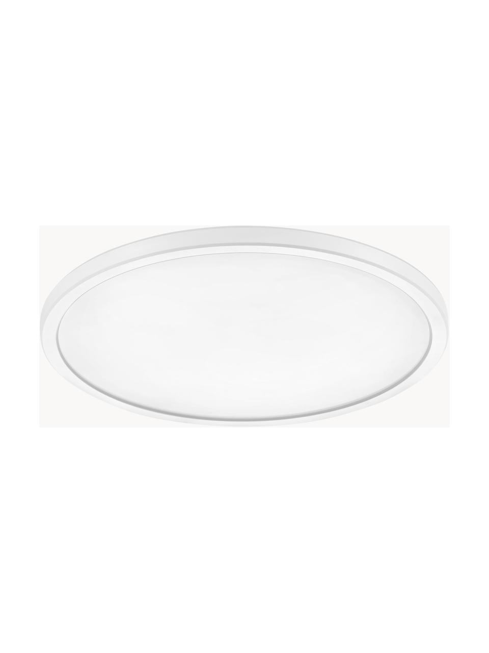 Plafón pequeño LED regulable Oja, Pantalla: plástico, Blanco, Ø 29 x Al 2 cm