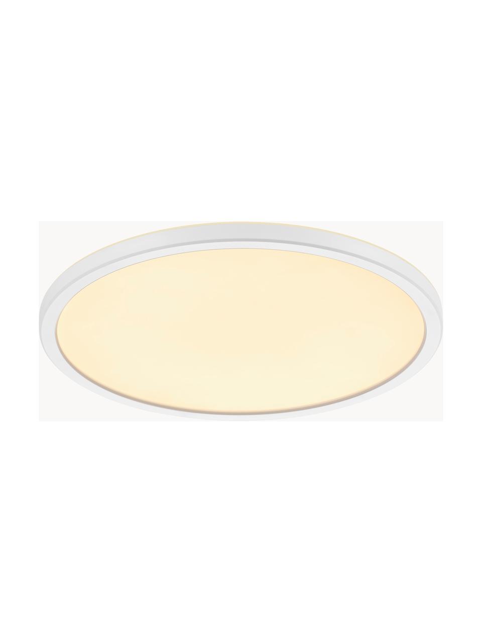 Plafón pequeño LED regulable Oja, Pantalla: plástico, Blanco, Ø 29 x Al 2 cm