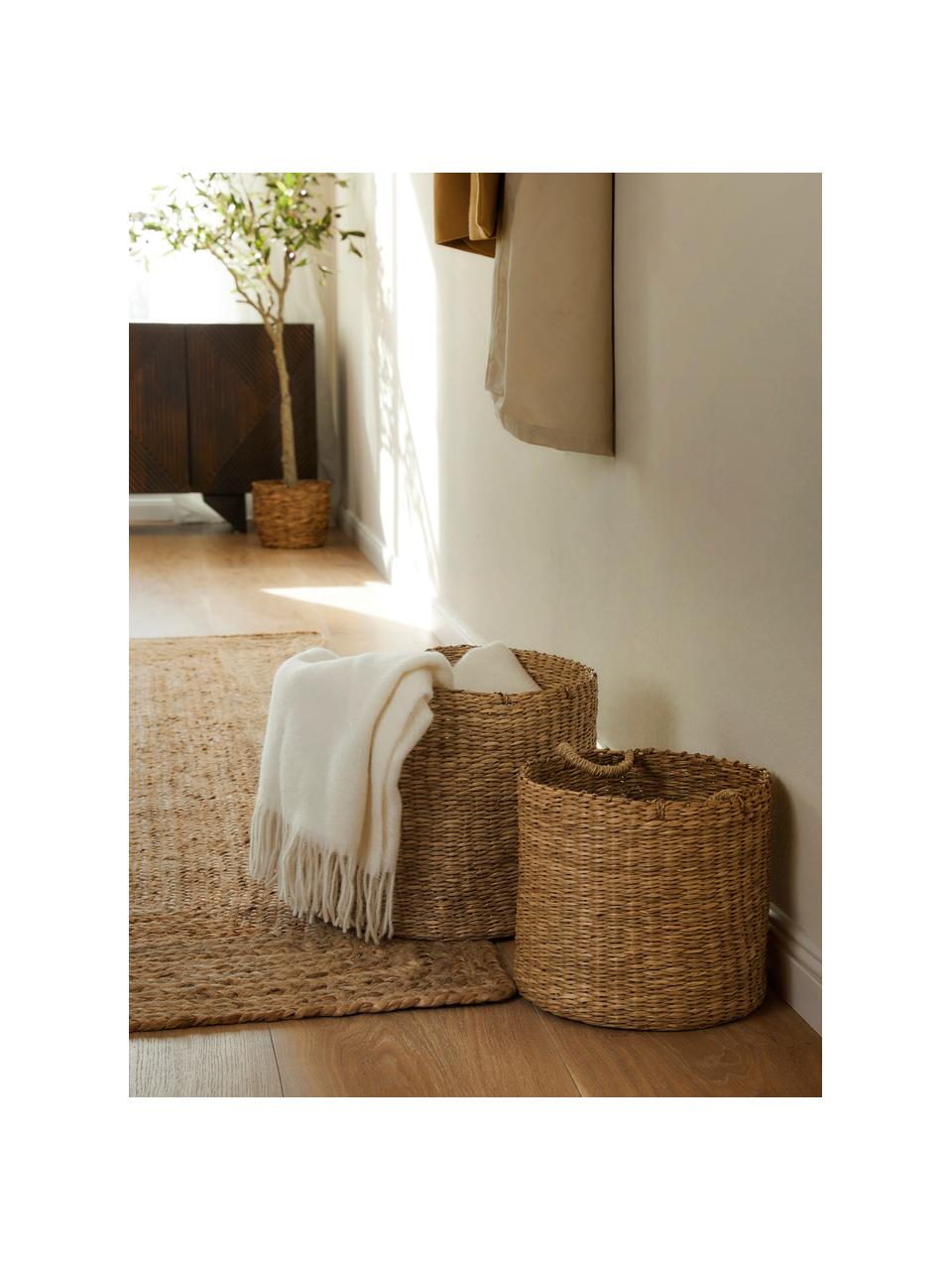 Set de cestas de seegras Jenar, 2 uds., Algas marinas, Beige, Set de diferentes tamaños