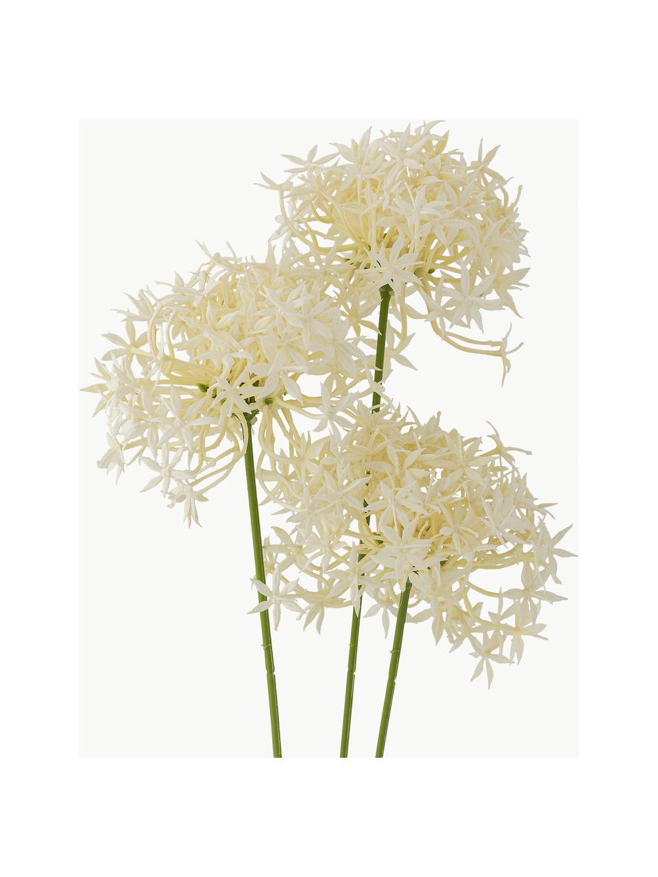 Fleur artificielle Allium, Plastique, métal, Blanc crème, vert, long. 64 cm