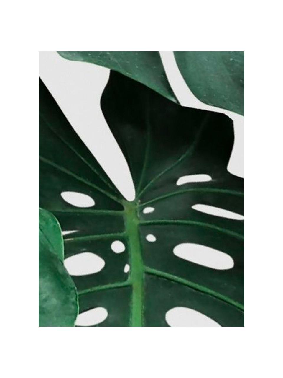 Camino de mesa Monstera, Poliéster, Verde, blanco, An 40 x L 150 cm