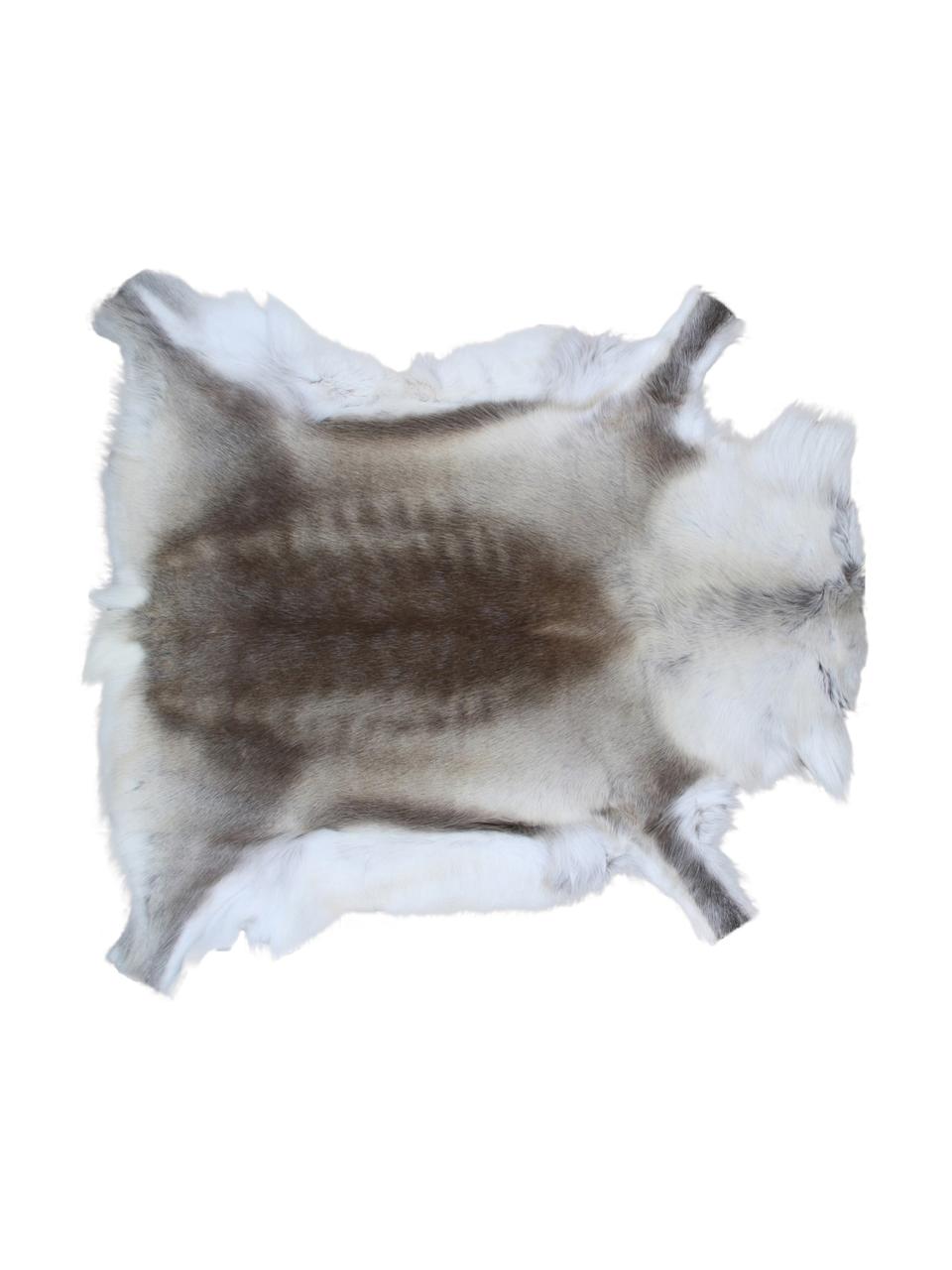 Dywan ze skóry renifera Marlen, Skóra renifera, Odcienie brązowego, biały, Unikatowa skóra z renifera 141, 75 x 115 cm