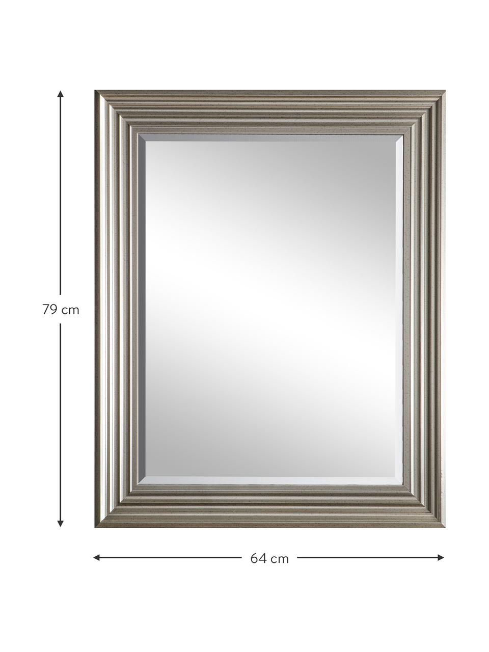 Obdélníkové nástěnné zrcadlo Haylen, Stříbrná, Š 64 cm, V 79 cm