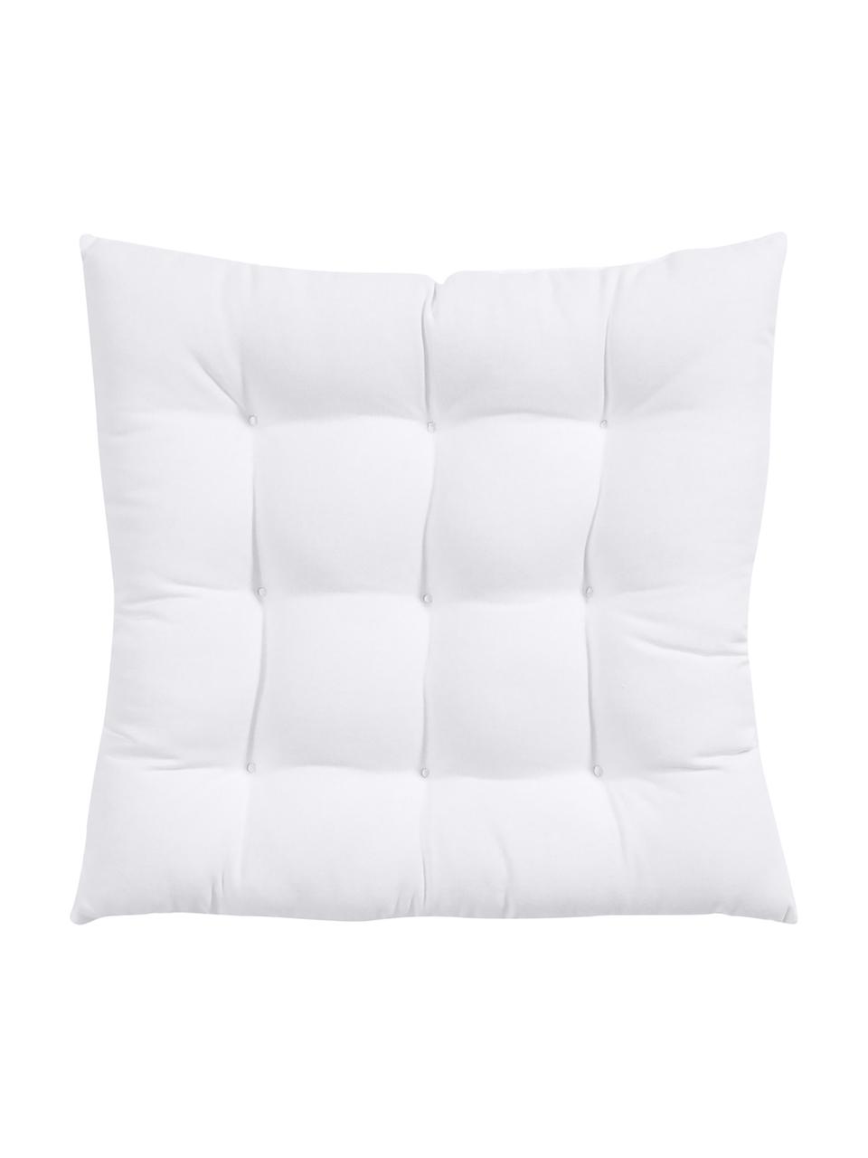 Cuscino sedia in cotone bianco Ava, Rivestimento: 100% cotone, Bianco, Larg. 40 x Lung. 40 cm