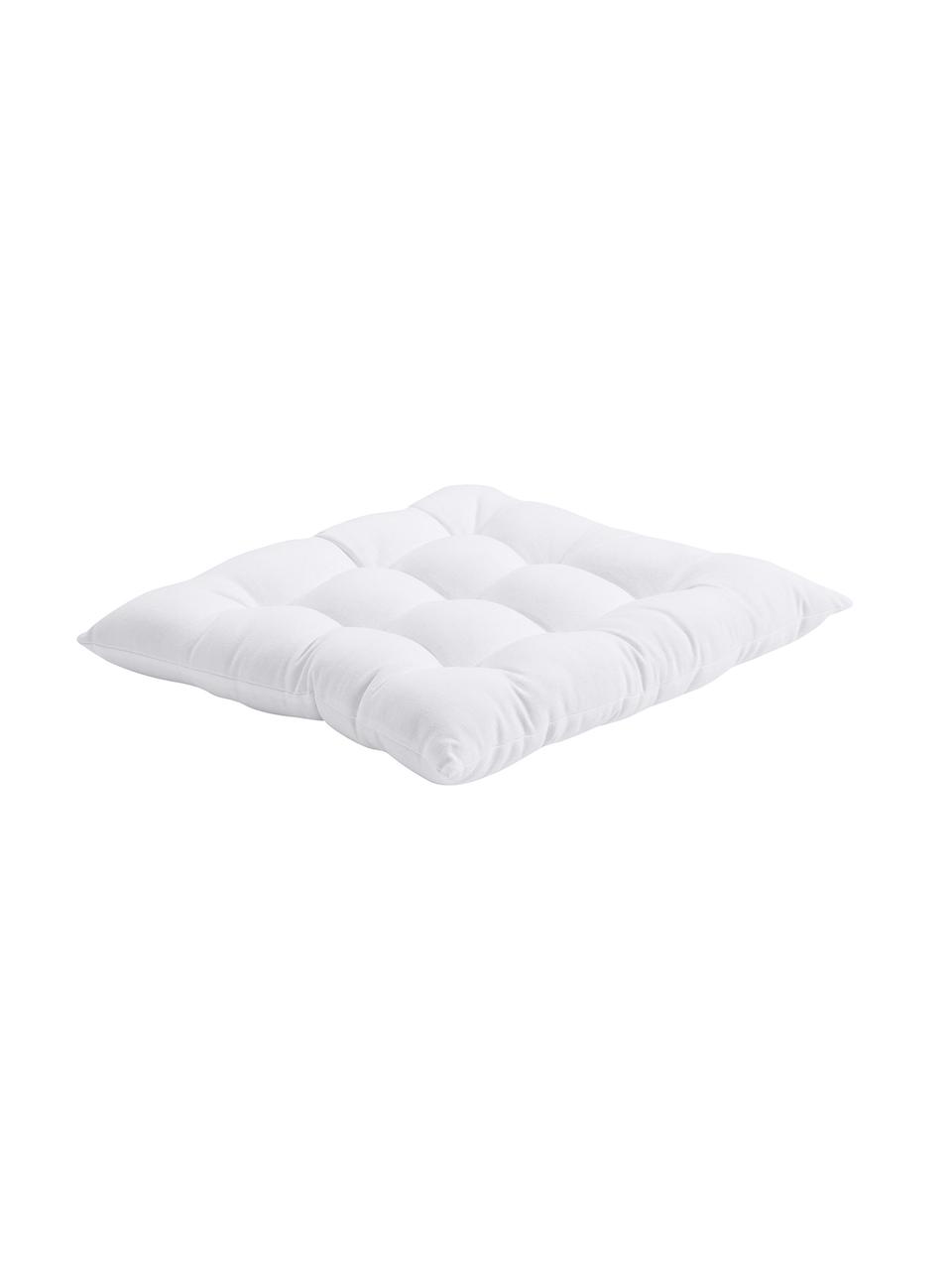 Coussin de chaise 40x40 coton blanc Ava, Blanc, larg. 40 x long. 40 cm