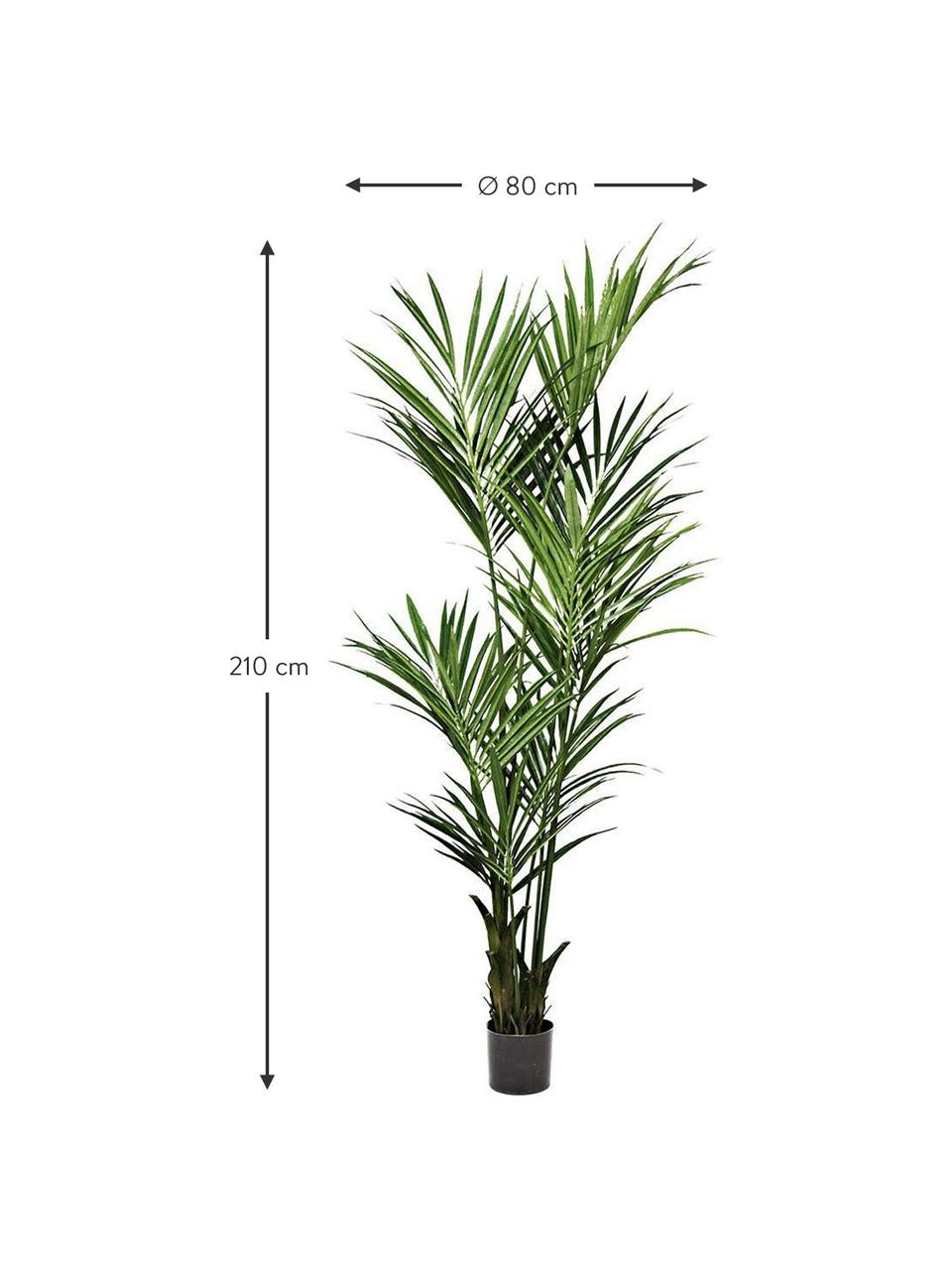 Planta artificial Kentia, Poliéster, polietileno, Verde, marrón, Ø 80 x Al 210 cm