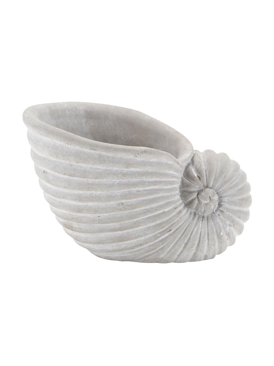 Decoratief object Shell van keramiek in grijs, Beton, Lichtgrijs, B 16 x H 10 cm