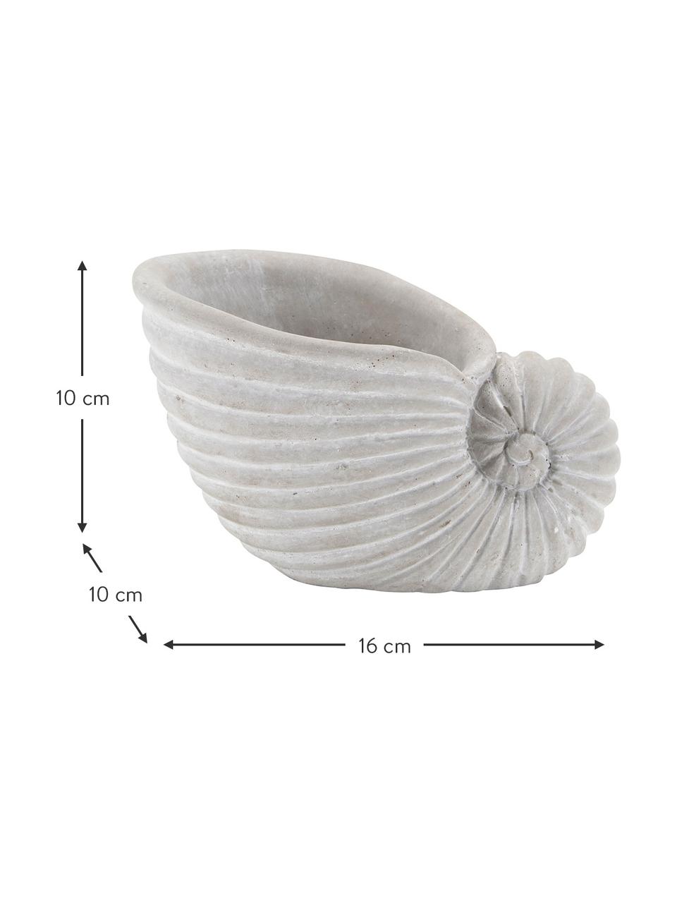 Decoratief object Shell van keramiek in grijs, Beton, Lichtgrijs, B 16 x H 10 cm