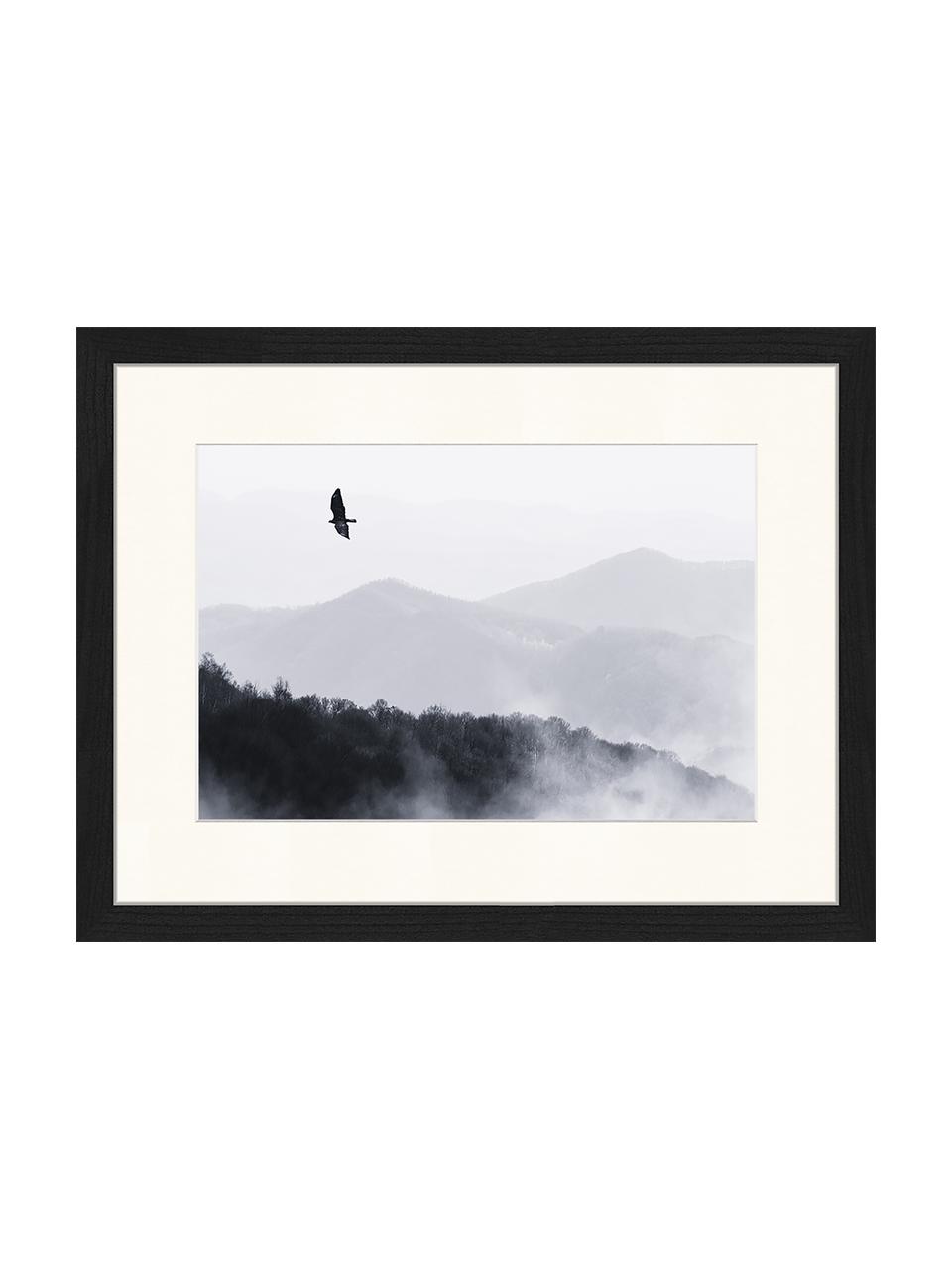 Stampa digitale incorniciata Bird Flying Over Misty Hills, Immagine: stampa digitale su carta,, Cornice: legno, verniciato, Nero, bianco, Larg. 43 x Alt. 33 cm