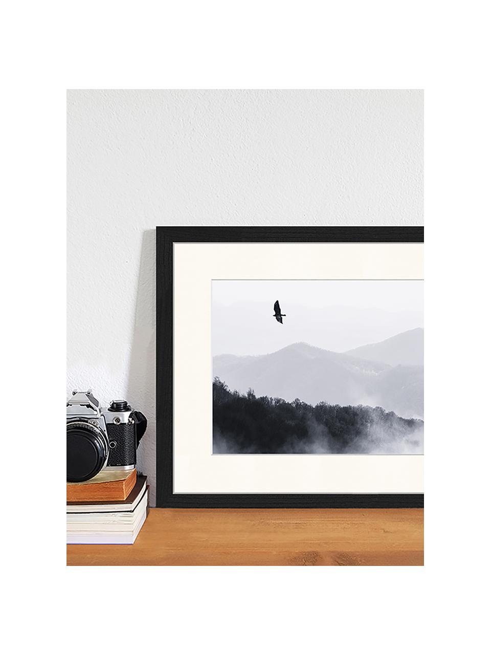 Stampa digitale incorniciata Bird Flying Over Misty Hills, Immagine: stampa digitale su carta,, Cornice: legno, verniciato, Nero, bianco, Larg. 43 x Alt. 33 cm