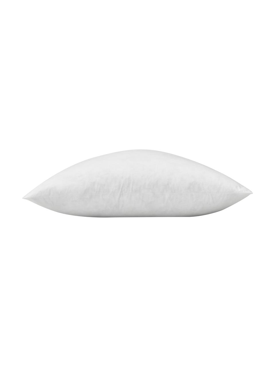 Garnissage de coussin avec remplissage de plumes Comfort, tailles variées, Blanc, larg. 50 x long. 50 cm