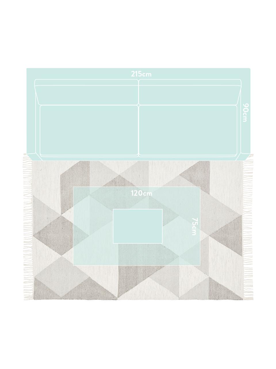 Ręcznie tkany dywan Ruana, Szary, beżowy, S 160 x D 230 cm