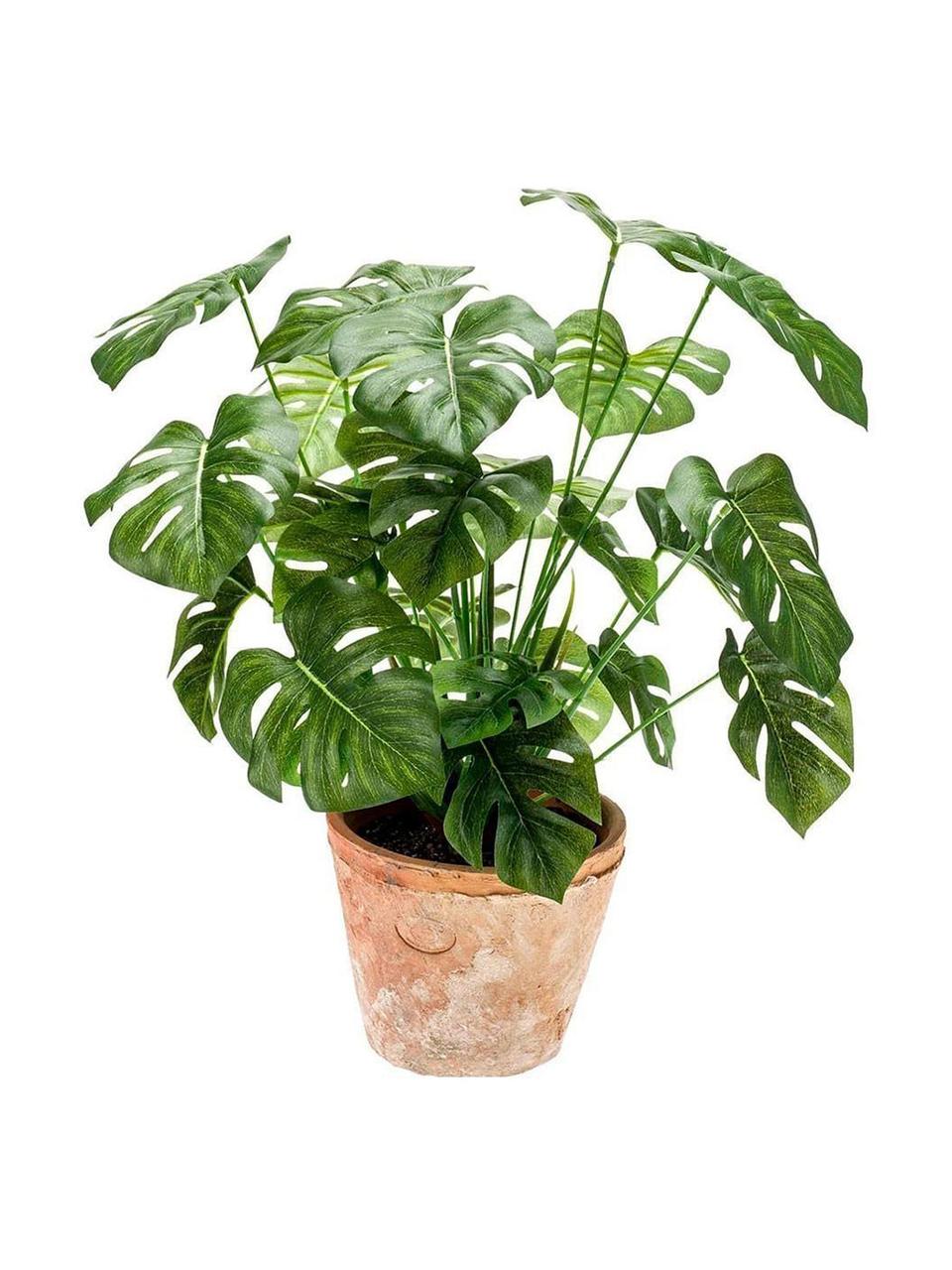 Planta artificial Monstera, Verde, Ø 16 x Al 70 cm