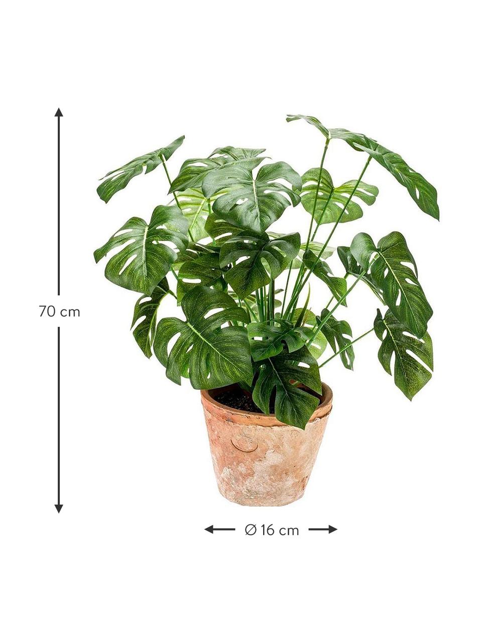 Planta artificial Monstera, Verde, Ø 16 x Al 70 cm