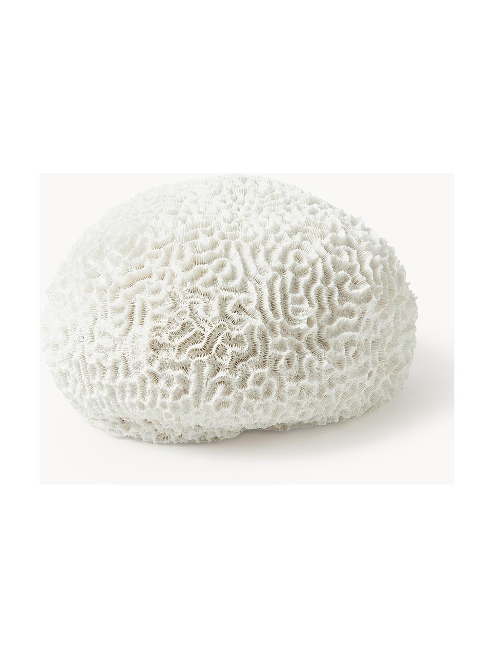 Design decoratief object Coral, Vaas: polyresin, Wit, Ø 18 x H 10 cm