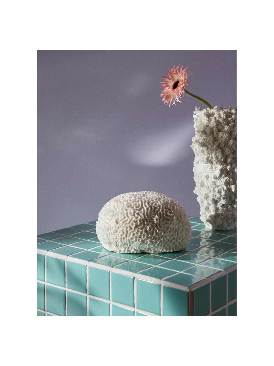 Design decoratief object Coral, Vaas: polyresin, Wit, Ø 18 x H 10 cm
