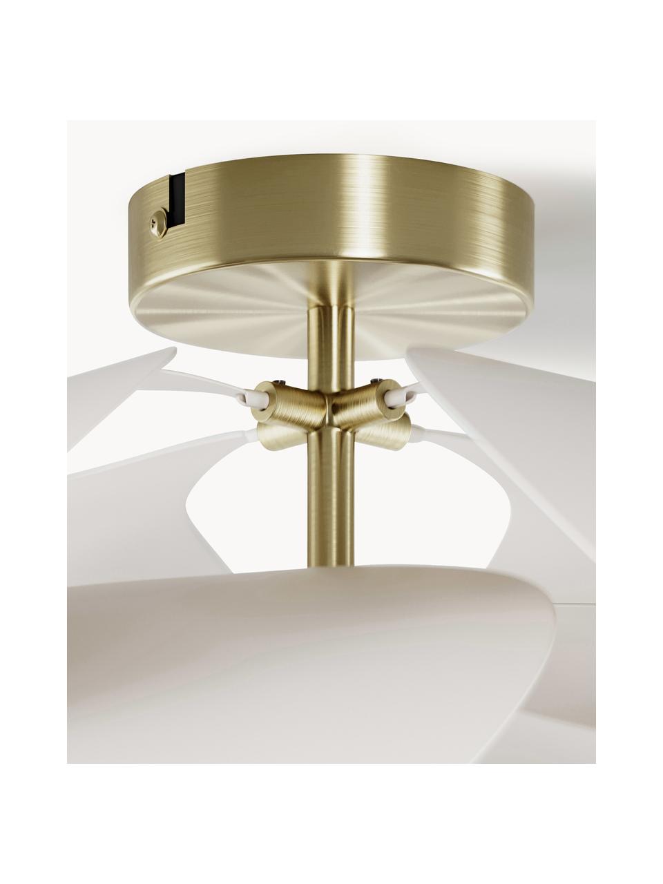 Lampada da soffitto di design Peony, Paralume: metallo rivestito, Baldacchino: metallo rivestito, Struttura: metallo rivestito, Bianco sporco, dorato, Ø 45 x Alt. 31 cm