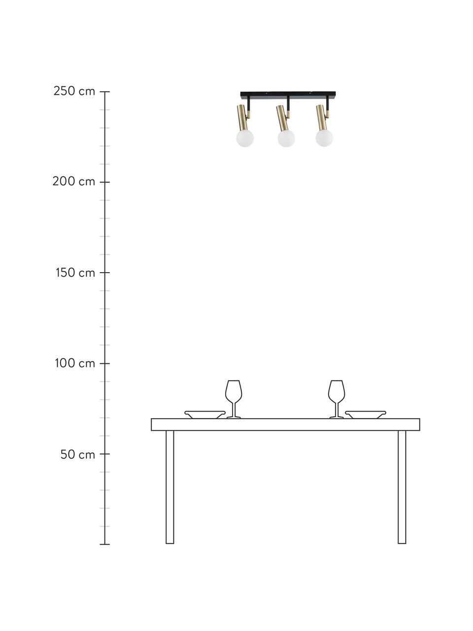 Plafoniera a LED Wilson-Gold, Baldacchino: metallo verniciato a polv, Paralume: vetro, Nero, ottonato, Larg. 65 x Alt. 31 cm