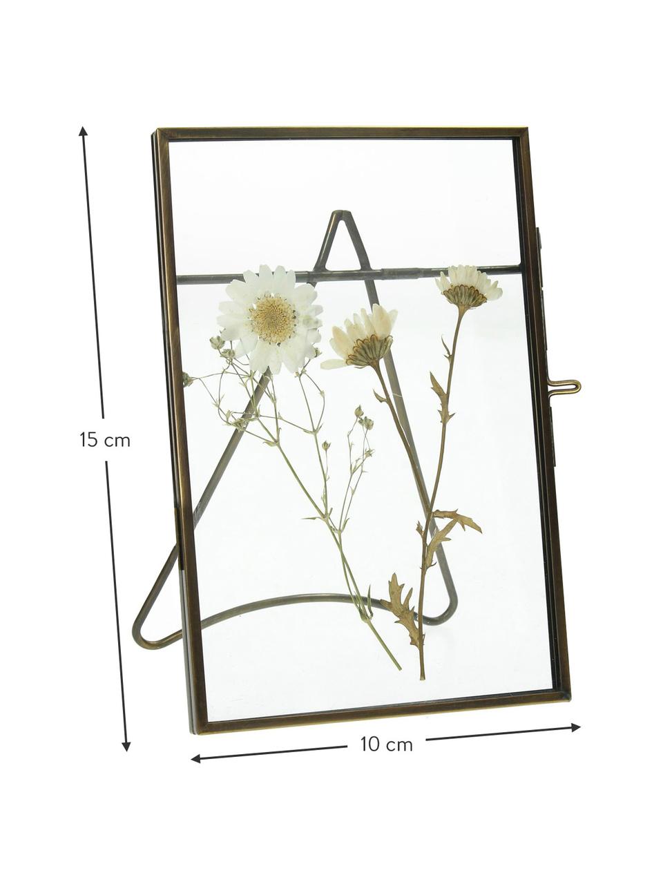 Cadre métal Dried Flower, Acier, enduit, Couleur laitonnée, larg. 10 x long. 15 cm