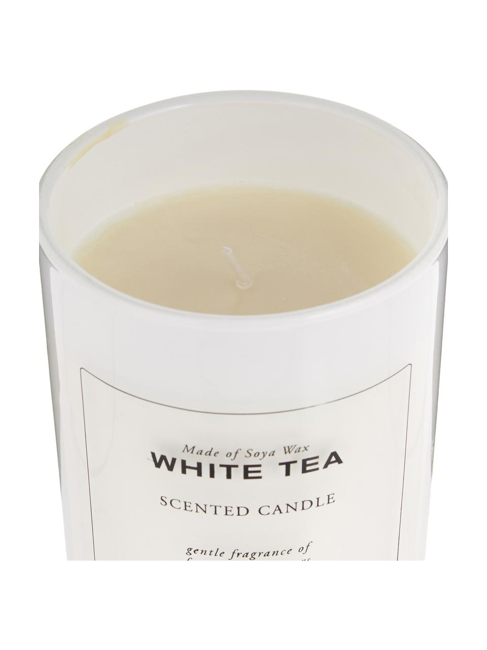 Duftkerze White Tea (Pudrig & Weißer Tee), Weiß, Schwarz, Ø 8 x H 10 cm