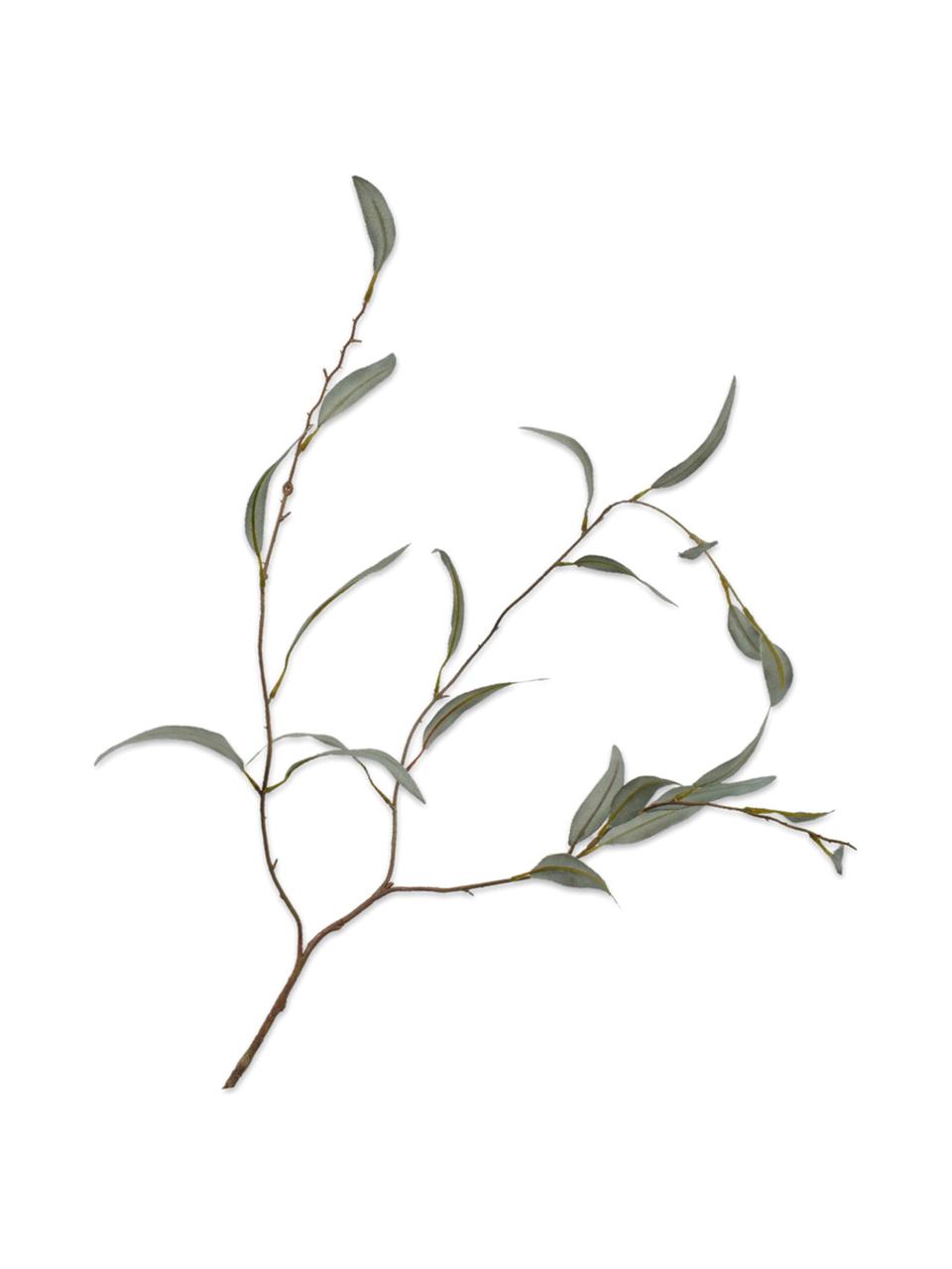Umelá olivová vetva Olive, Plast, kovový drôt, Zelená, hnedá, D 96 cm