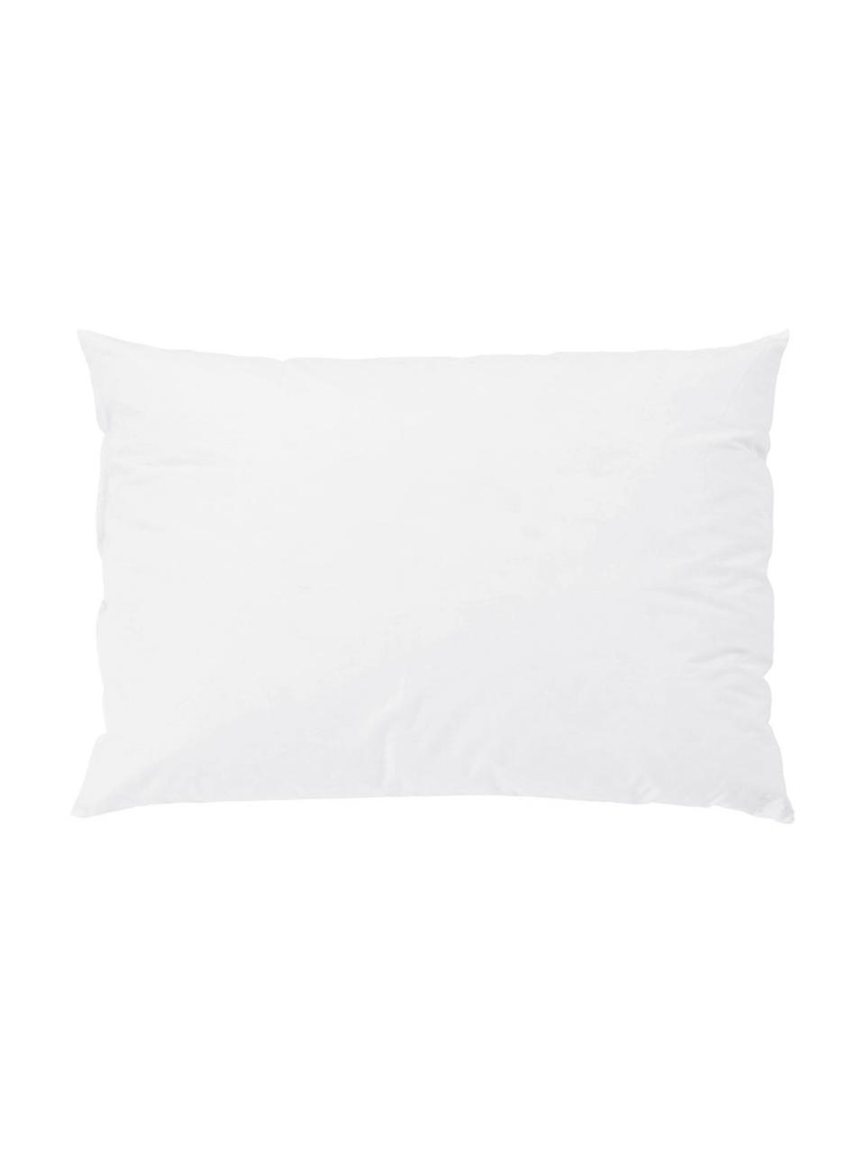 Garnissage de coussin garnissage duvet/plumes Premium, 40 x 60, Blanc