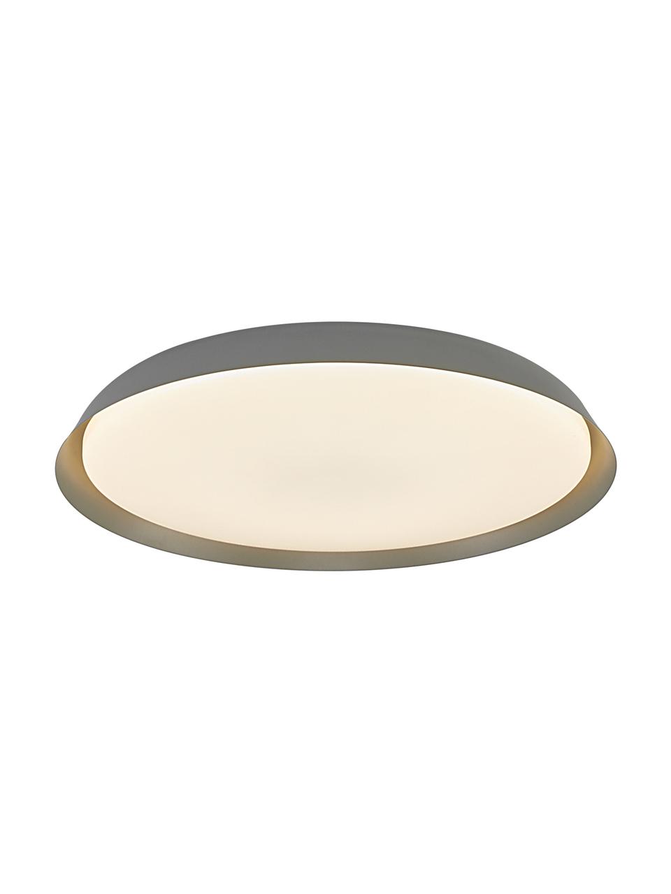 Plafoniera a LED grigia Piso, Paralume: metallo rivestito, Grigio, Ø 37 x Alt. 5 cm