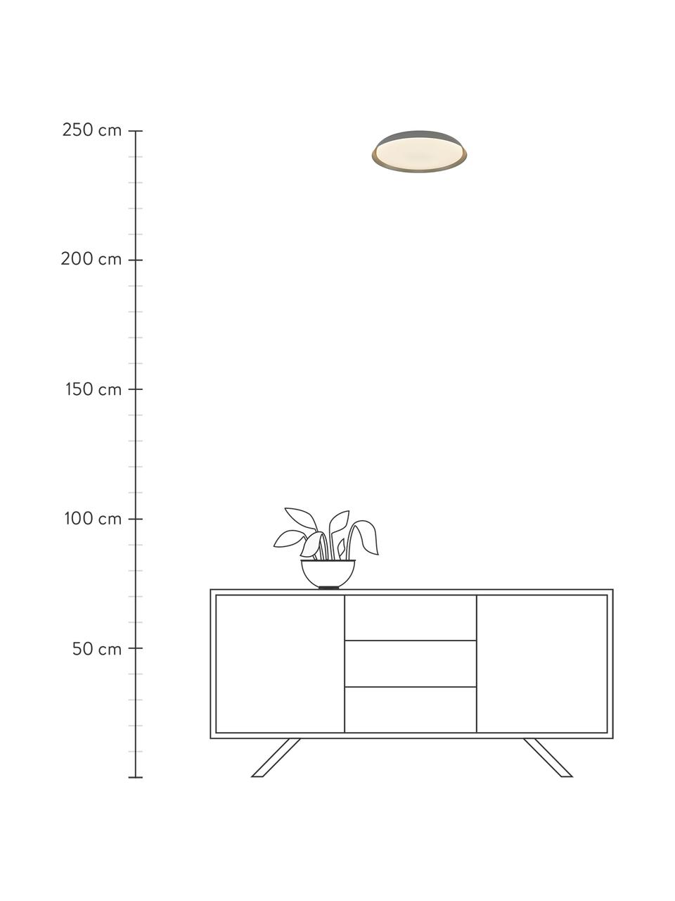 Plafoniera a LED grigia Piso, Paralume: metallo rivestito, Grigio, Ø 37 x Alt. 5 cm