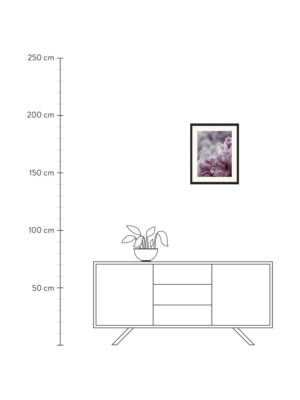 Ingelijste digitale print Pink Flower, Afbeelding: digitale print op papier,, Lijst: gelakt hout, Multicolour, B 43 cm x H 53 cm